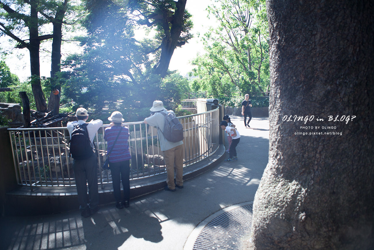 IMG_6630拷貝.jpg IMG_6630拷貝.jpg