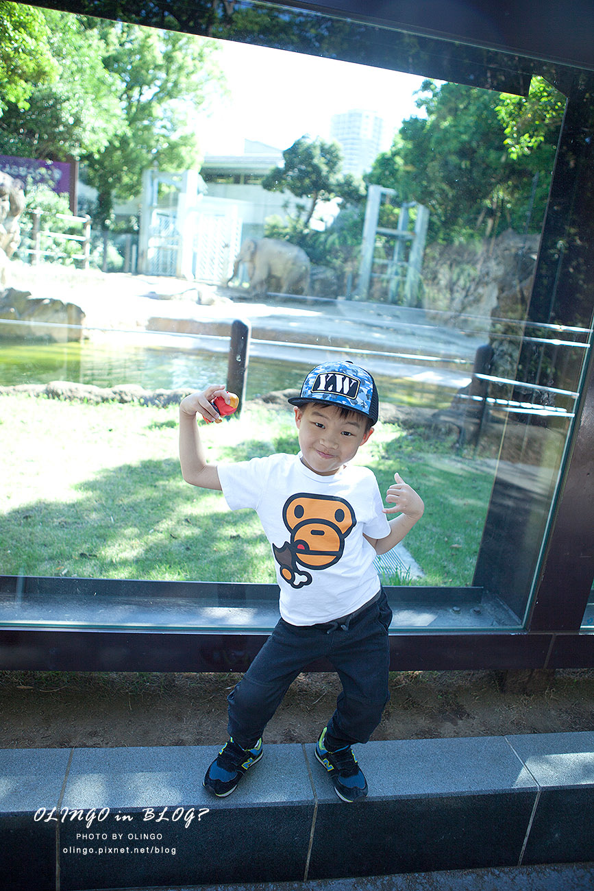 IMG_6625拷貝.jpg IMG_6625拷貝.jpg