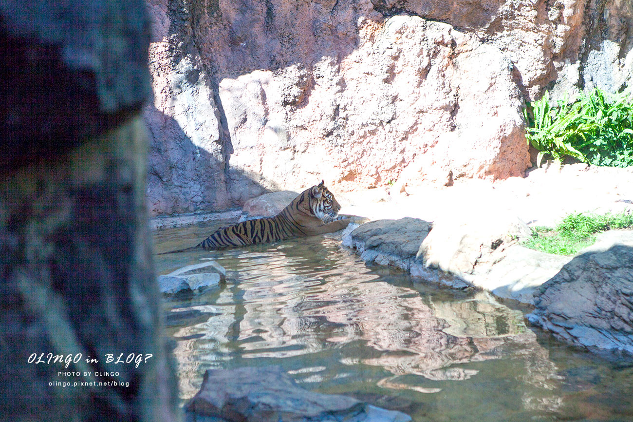 IMG_6588拷貝.jpg IMG_6588拷貝.jpg