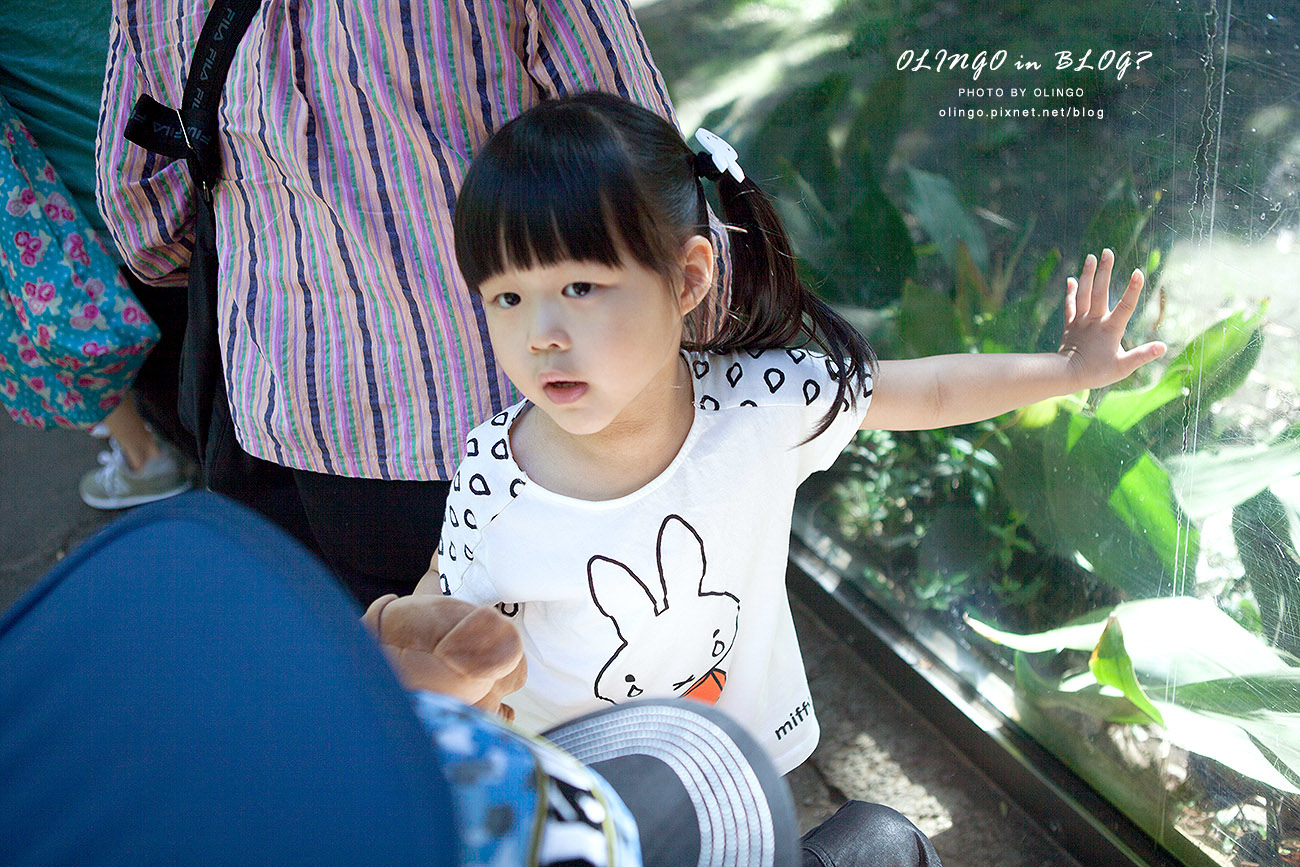 IMG_6581拷貝.jpg IMG_6581拷貝.jpg