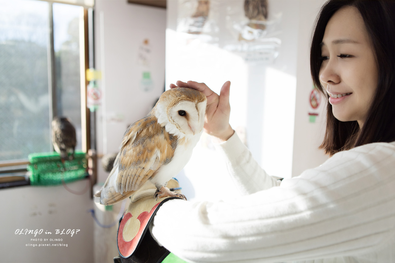 IMG_9084拷貝.jpg IMG_9084拷貝.jpg