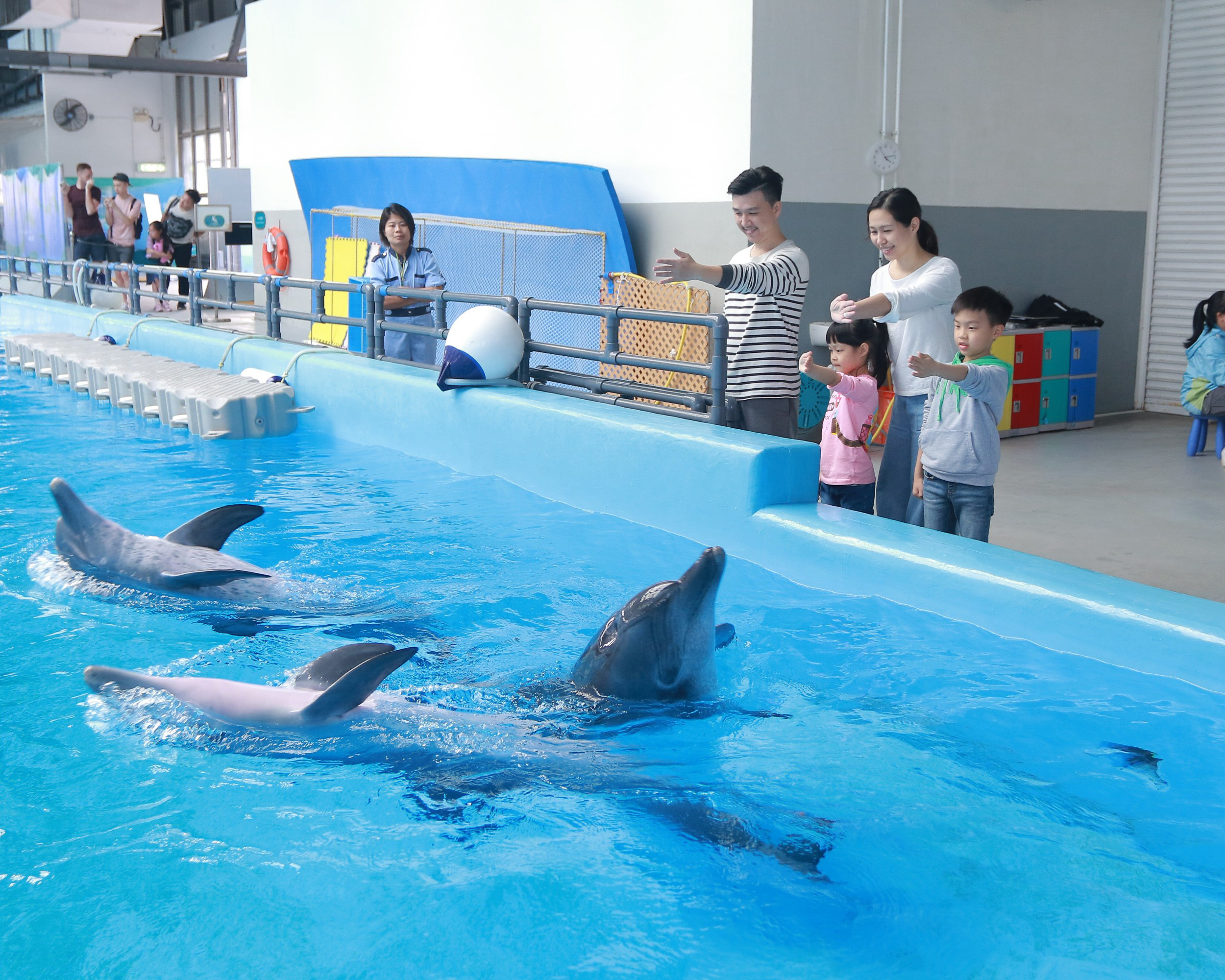 Ocean Park Corporation-OPC-Meet the Dolphin-id706854_withBorder.jpg