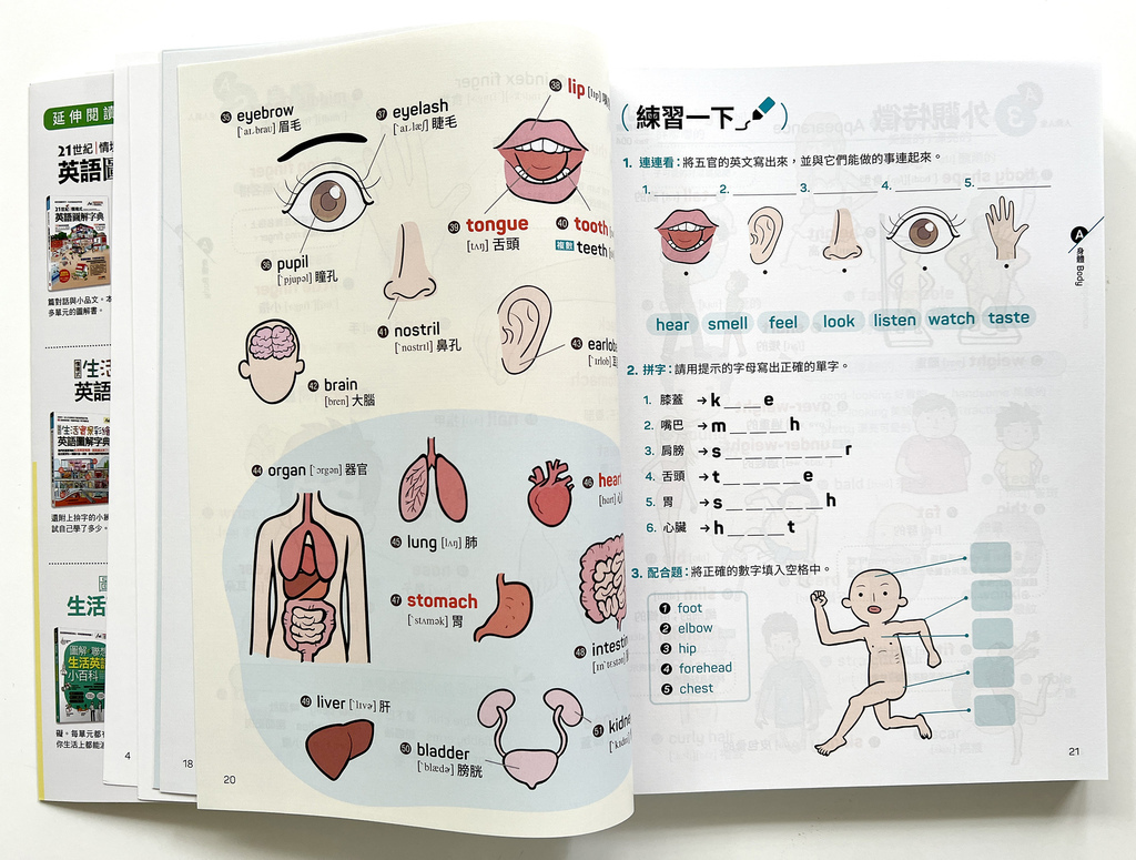 ▌英文學習 ▌英語圖解字典、圖解英語會話、英語發音書