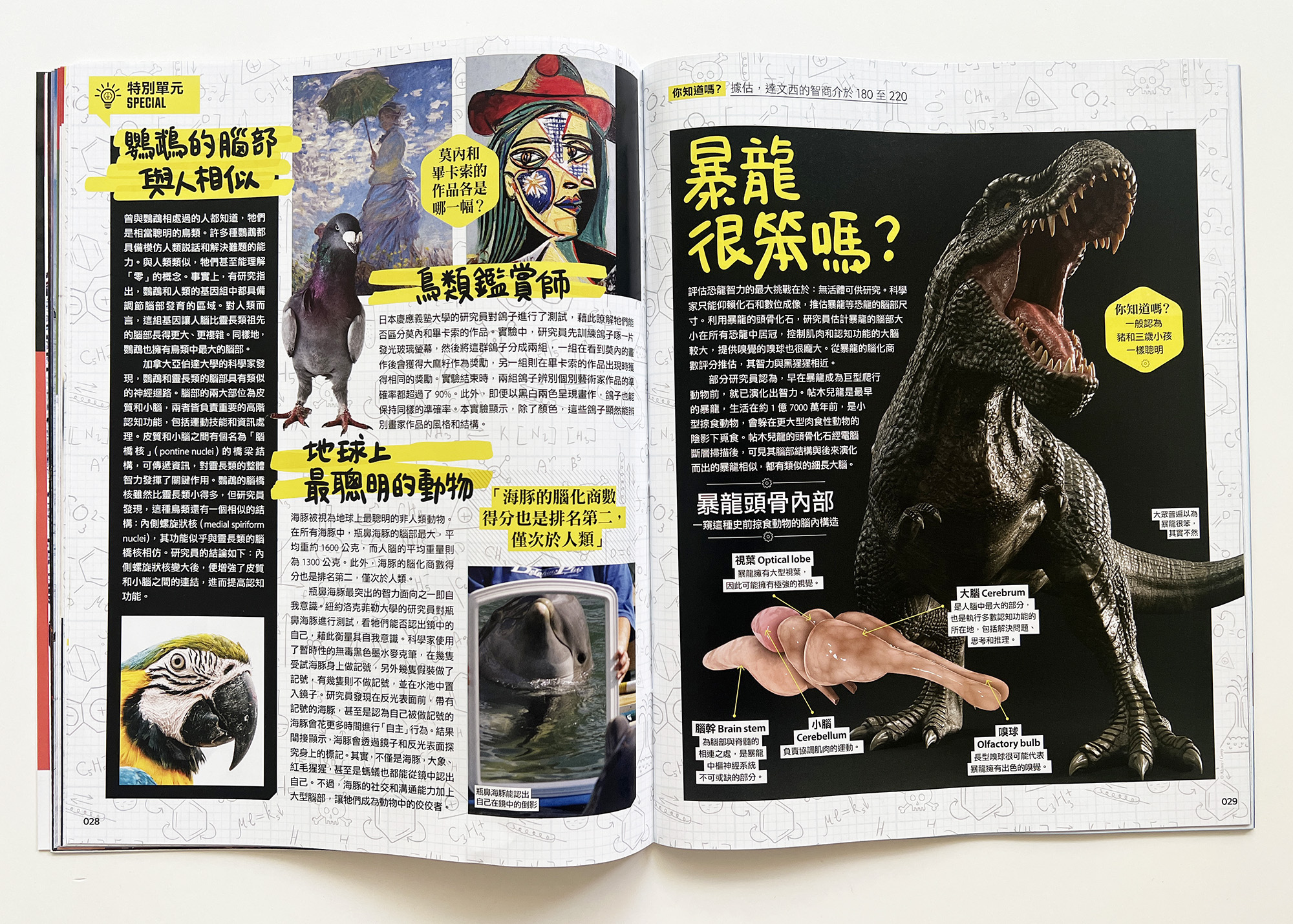 ▌開團優惠 ▌知識大圖解雜誌