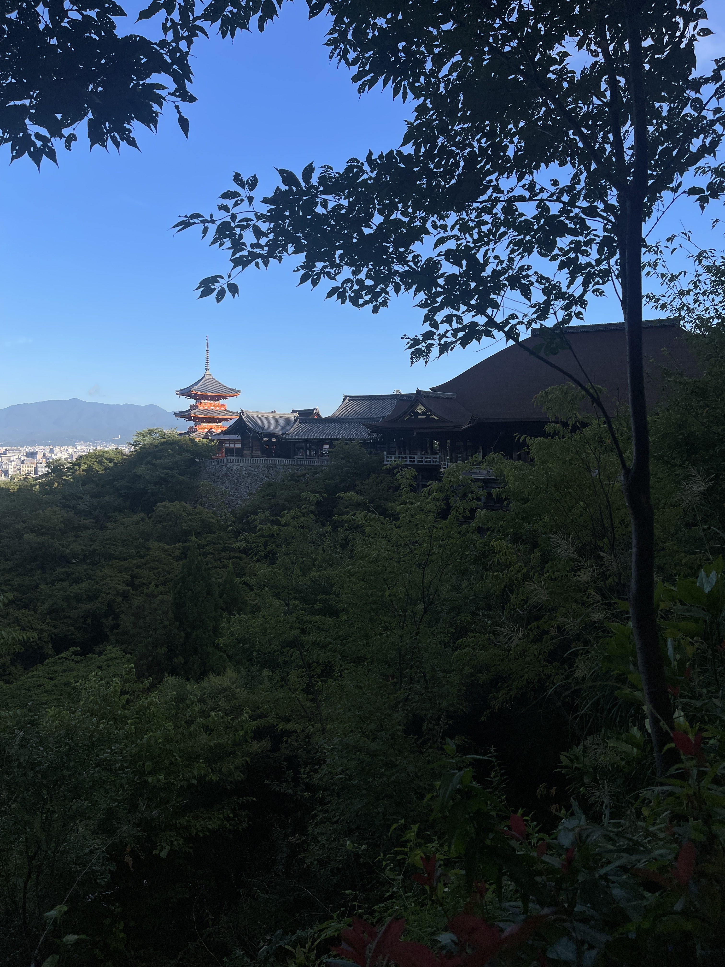 ▌2023日本之旅 ▌Day 6 : 浜松 ➝ 京都/ 住宿