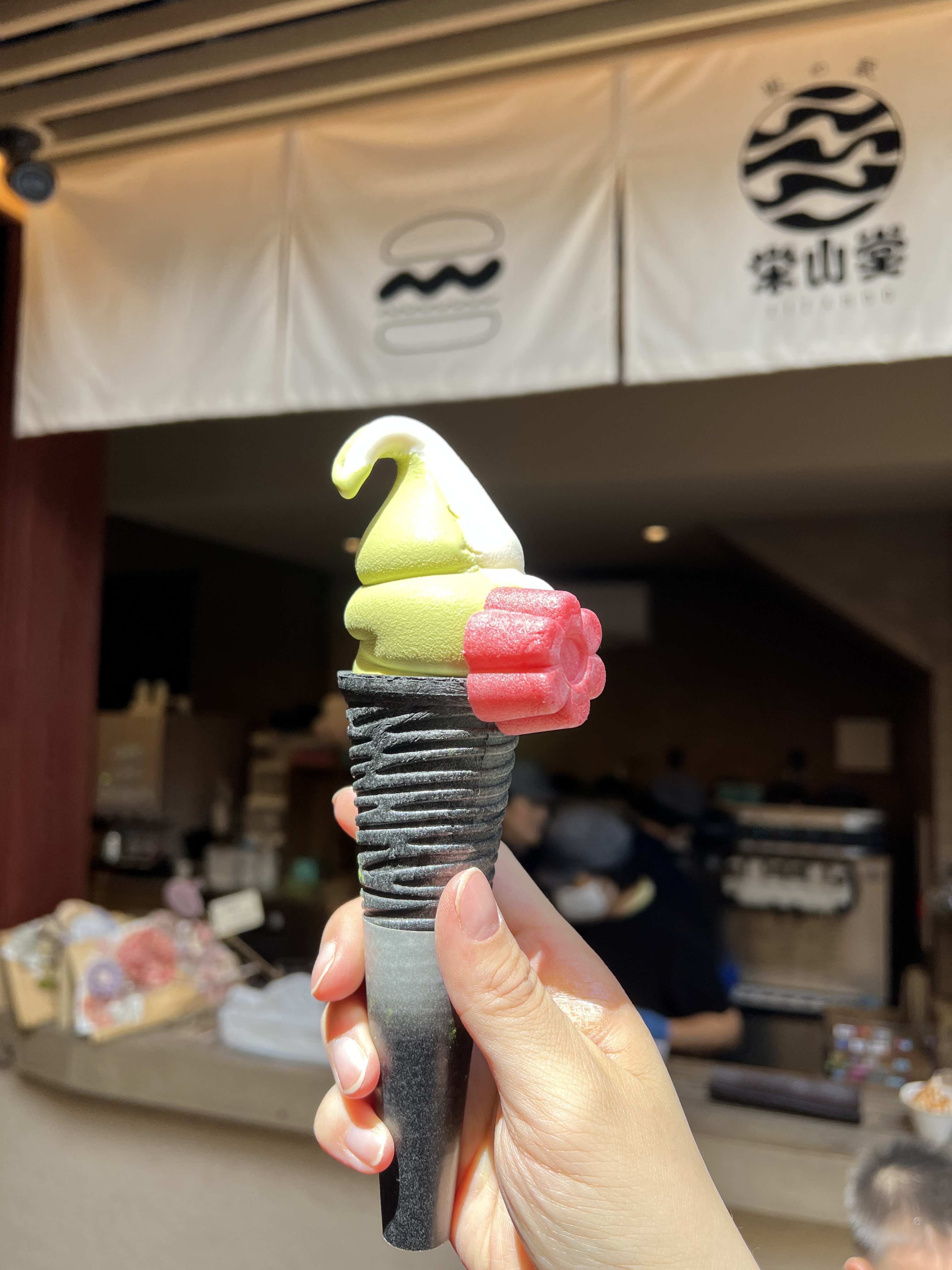 ▌2023日本之旅 ▌Day 6 : 浜松 ➝ 京都/ 住宿