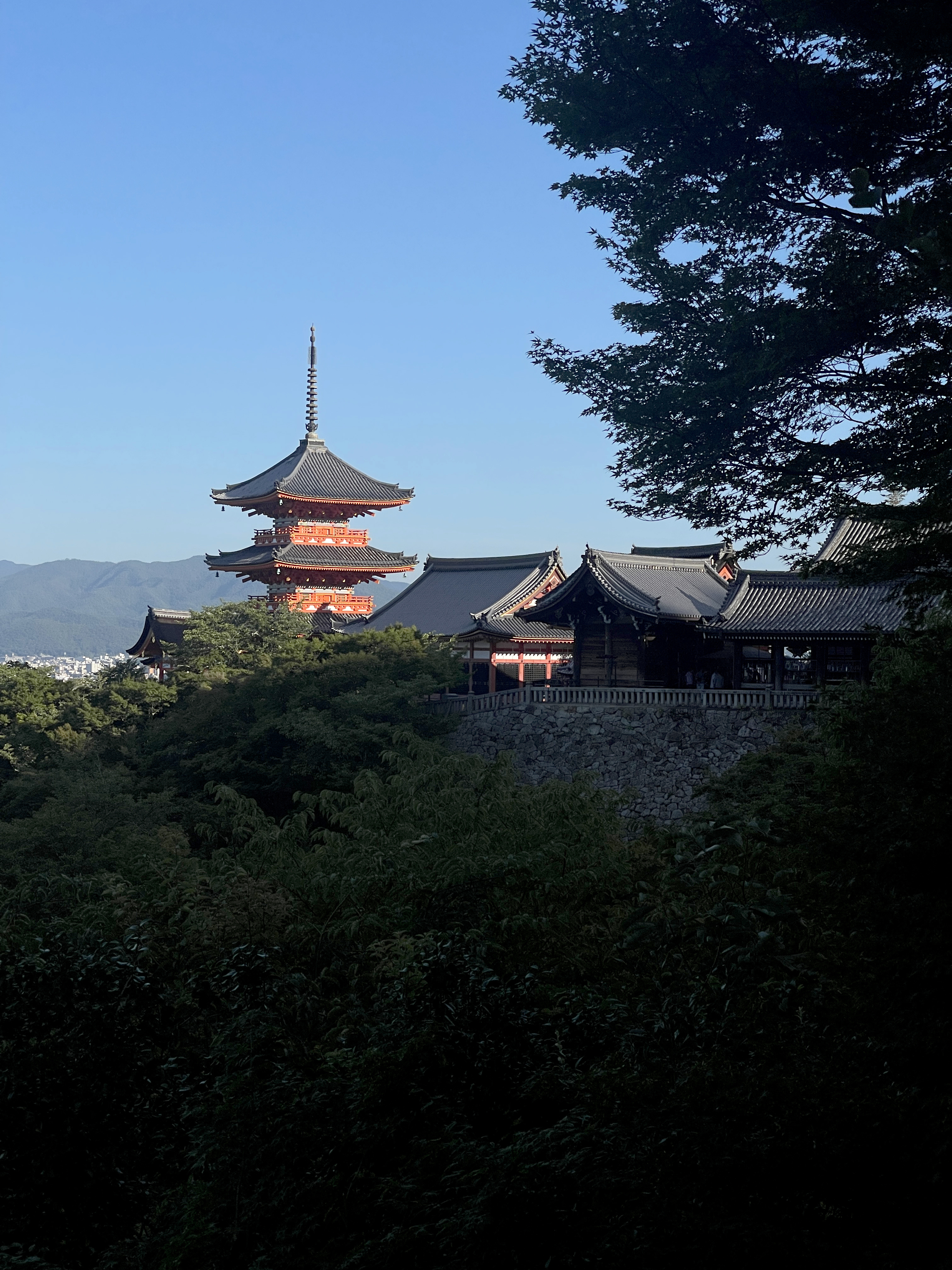 ▌2023日本之旅 ▌Day 6 : 浜松 ➝ 京都/ 住宿