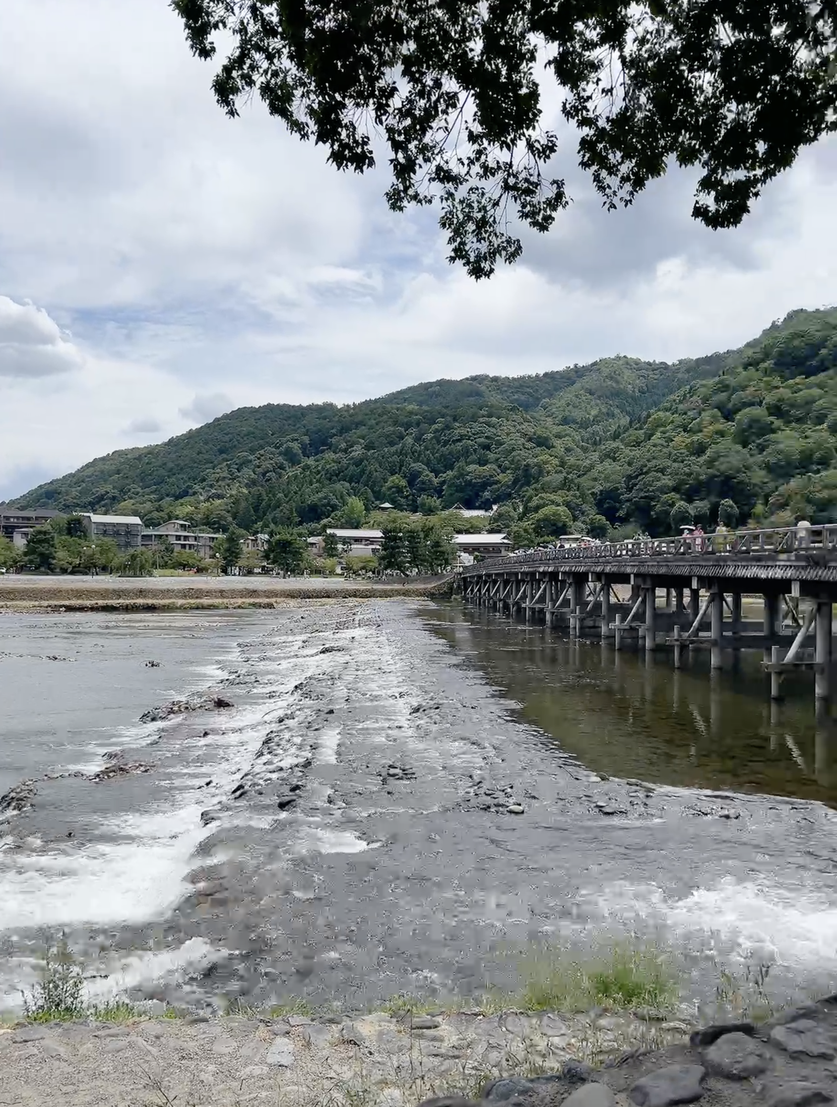 ▌2023日本之旅 ▌Day 7 : 嵐山小火車