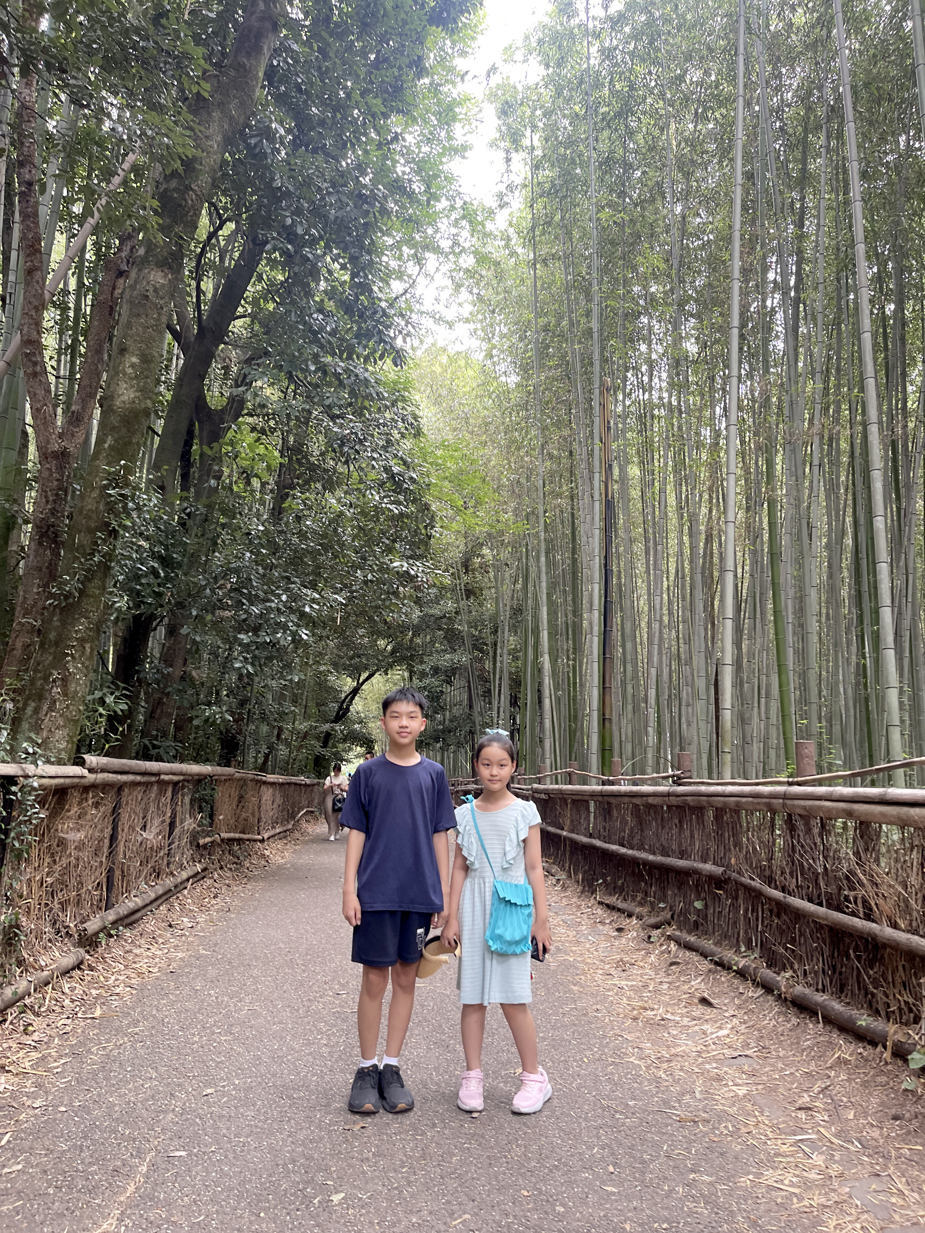 ▌2023日本之旅 ▌Day 7 : 嵐山小火車