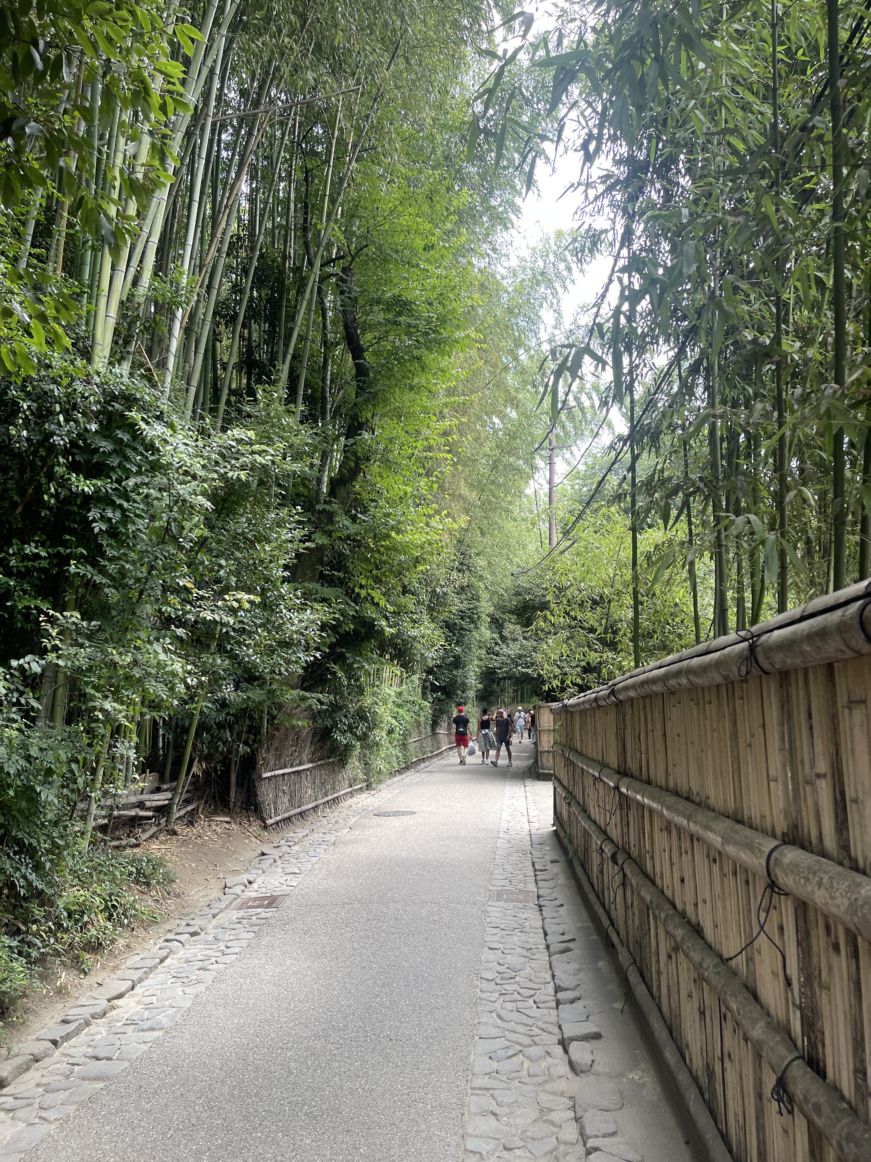 ▌2023日本之旅 ▌Day 7 : 嵐山小火車