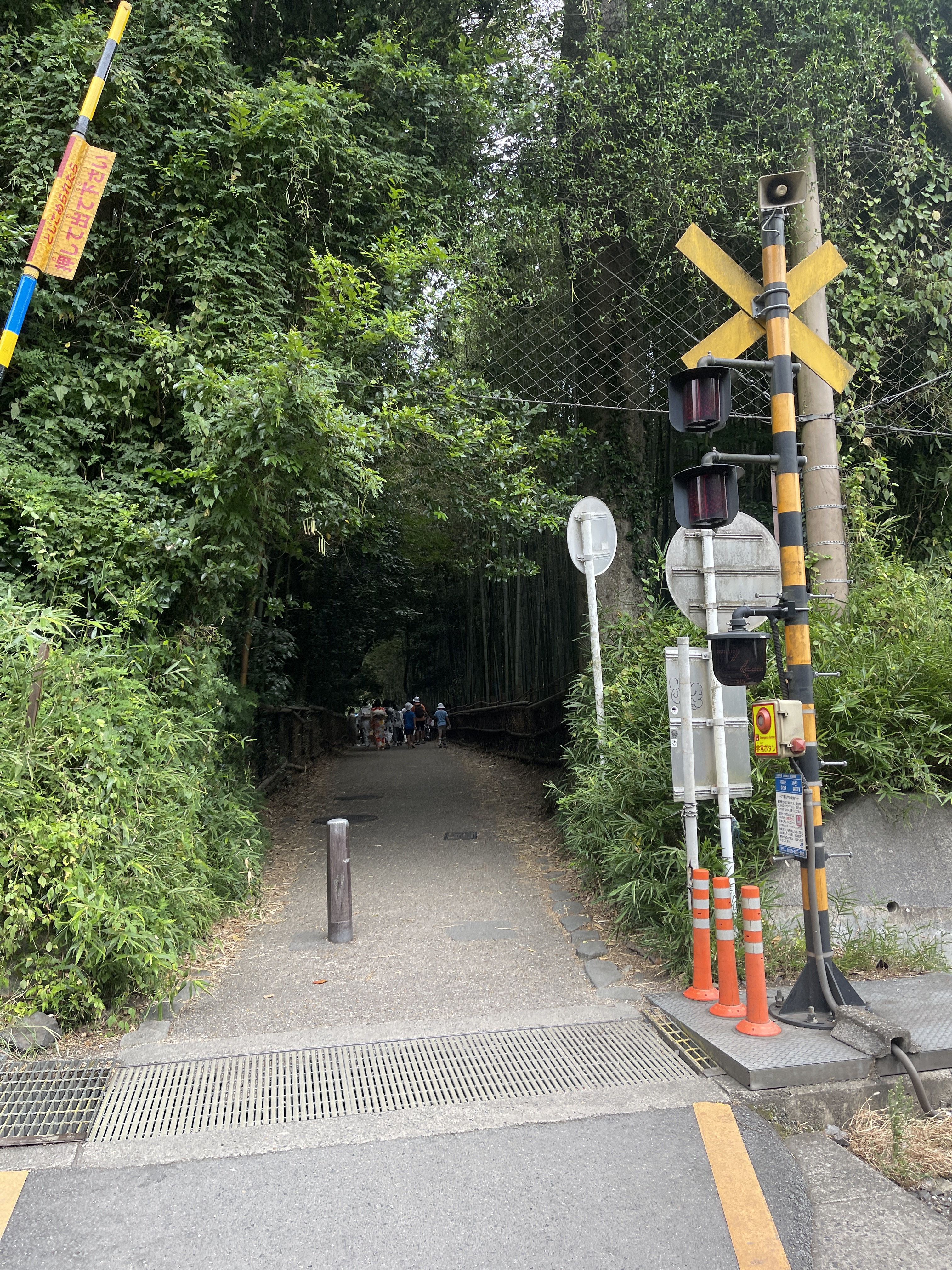 ▌2023日本之旅 ▌Day 7 : 嵐山小火車