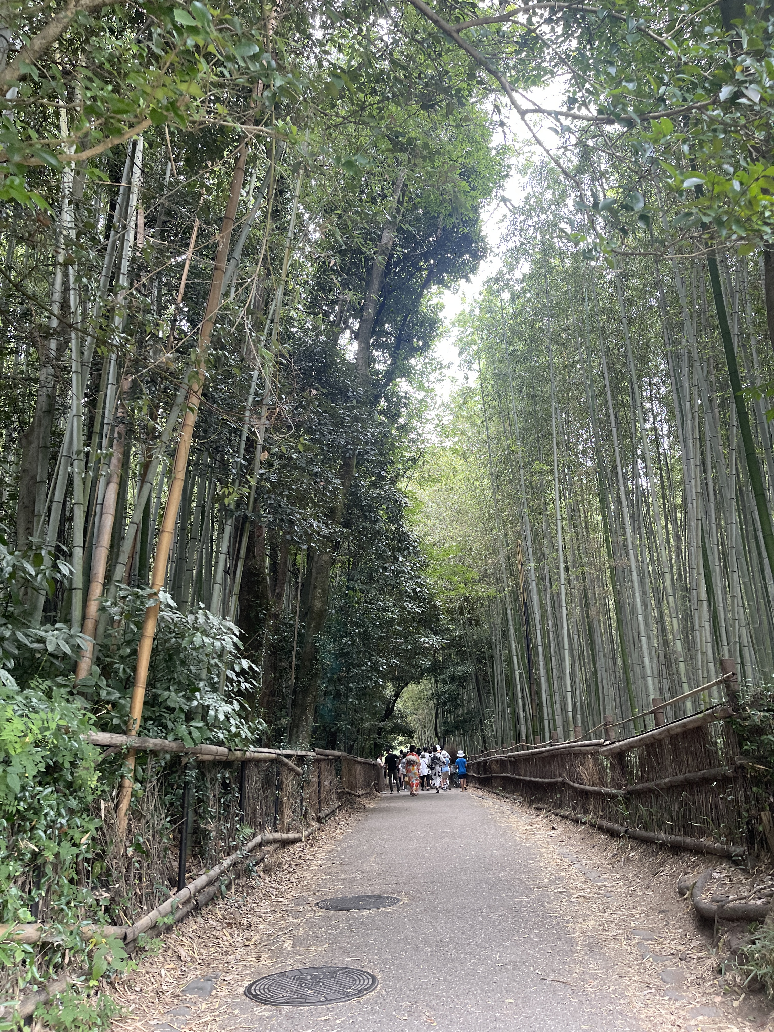 ▌2023日本之旅 ▌Day 7 : 嵐山小火車