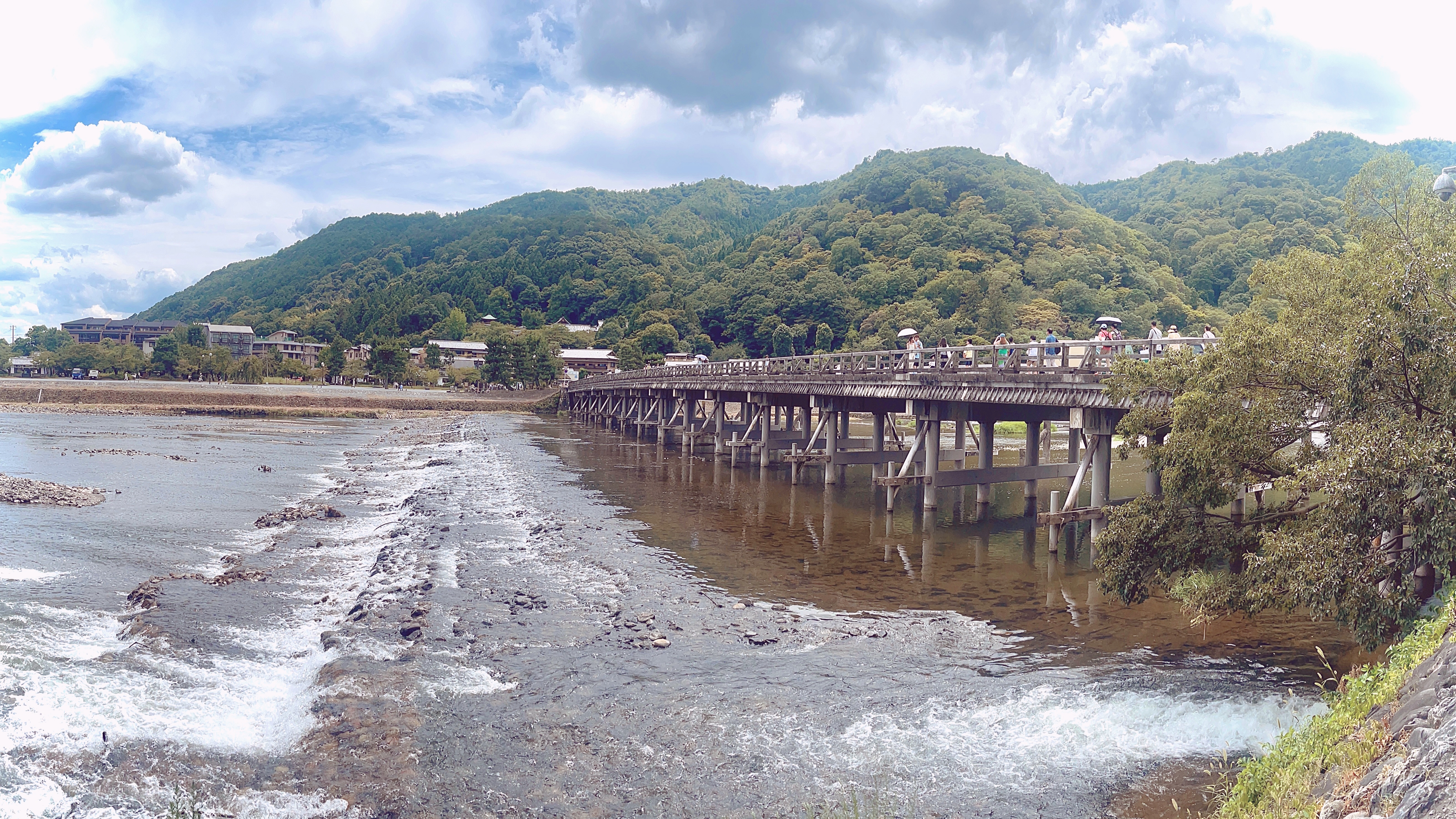 ▌2023日本之旅 ▌Day 7 : 嵐山小火車