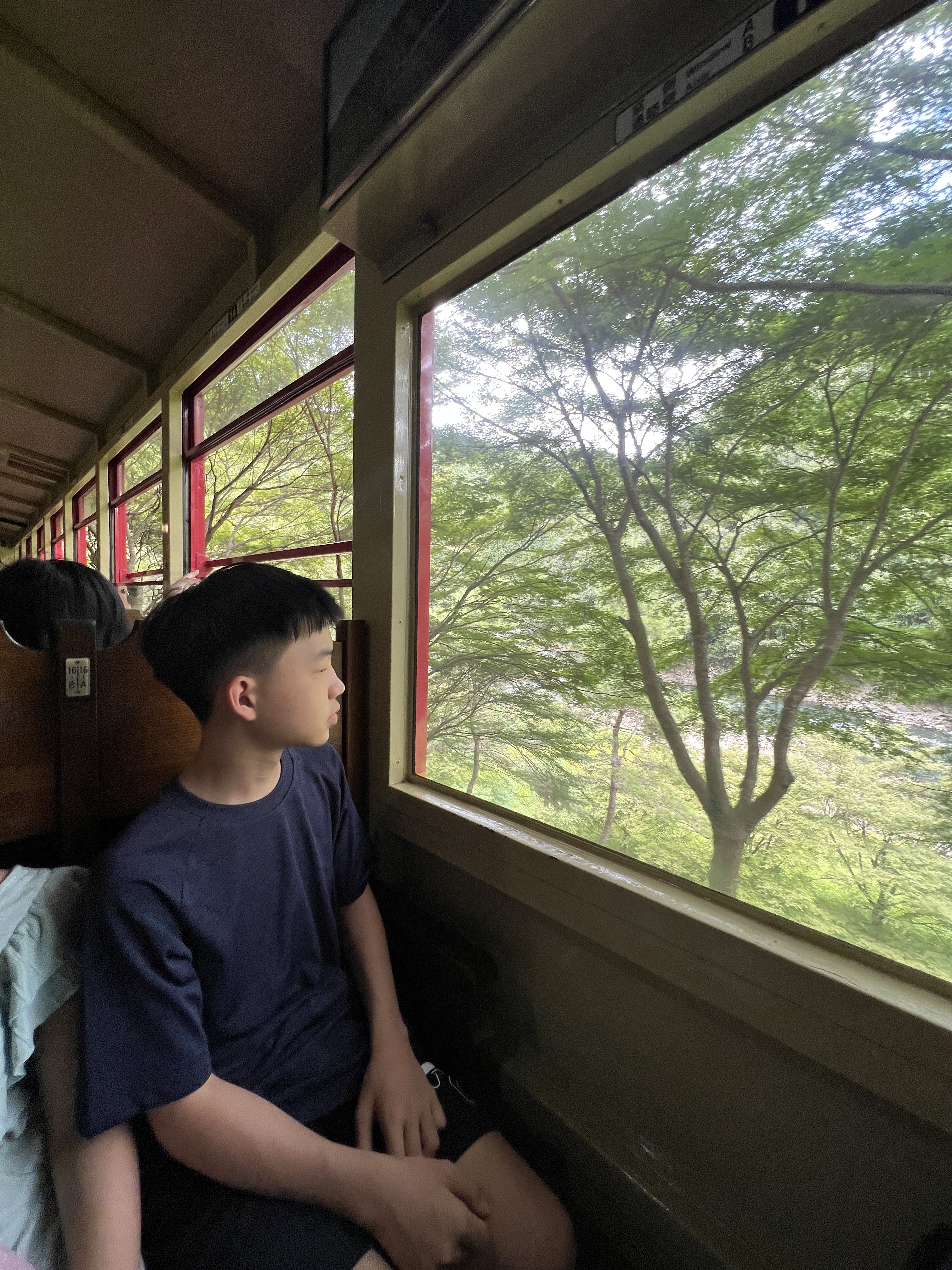 ▌2023日本之旅 ▌Day 7 : 嵐山小火車