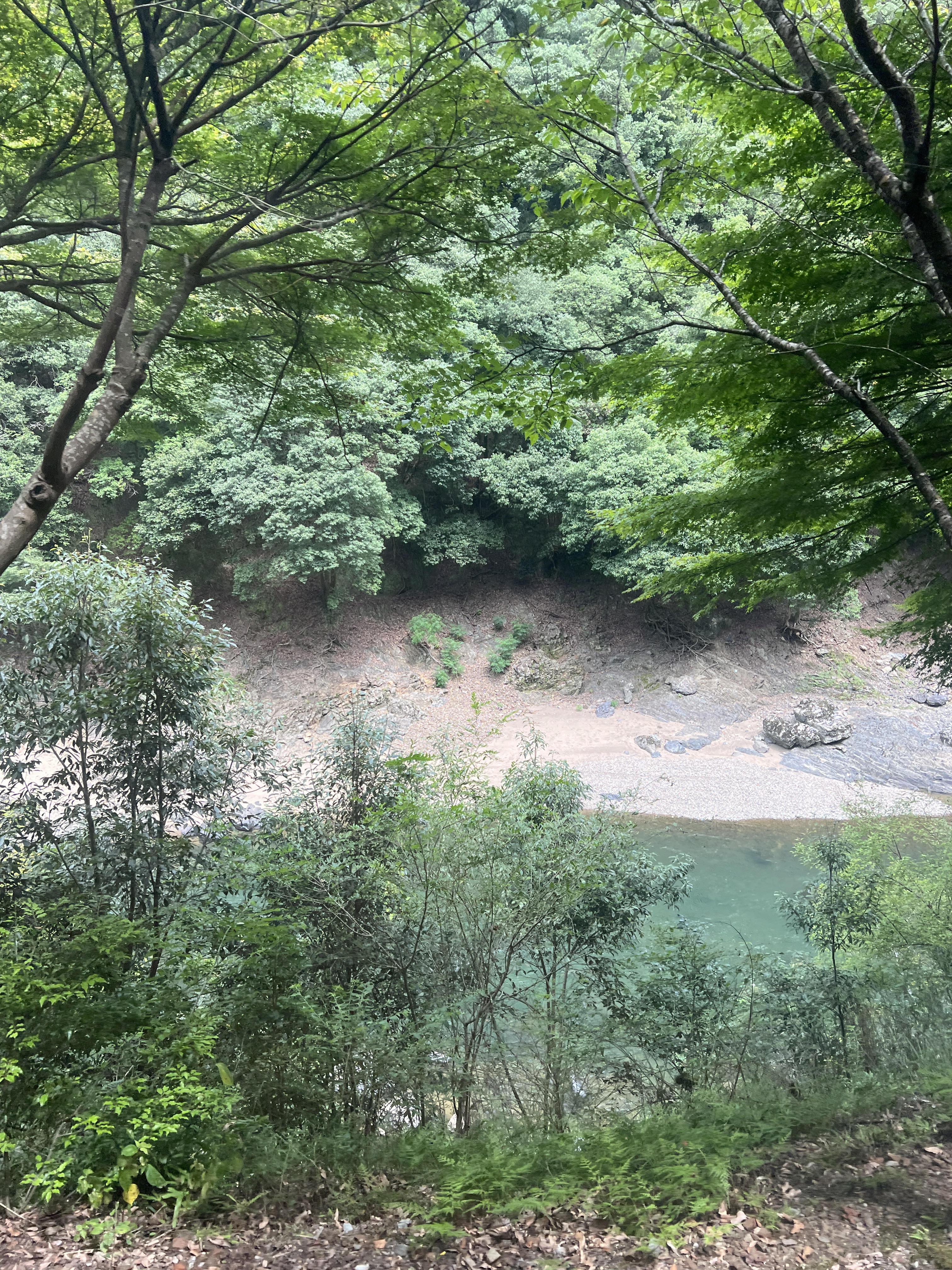 ▌2023日本之旅 ▌Day 7 : 嵐山小火車