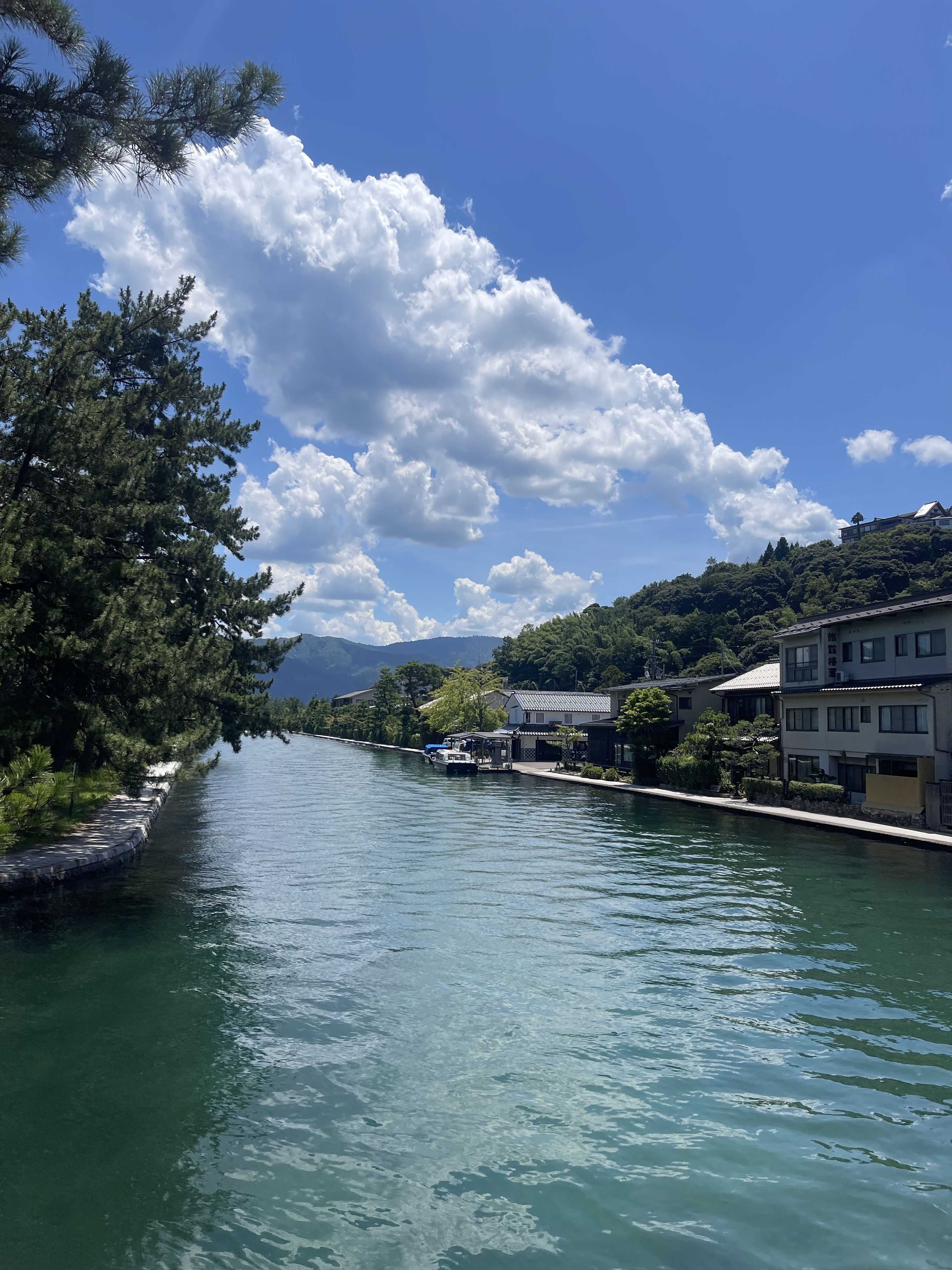 ▌2023日本之旅 ▌Day 8 : 天橋立➝伊根灣遊船➝ 