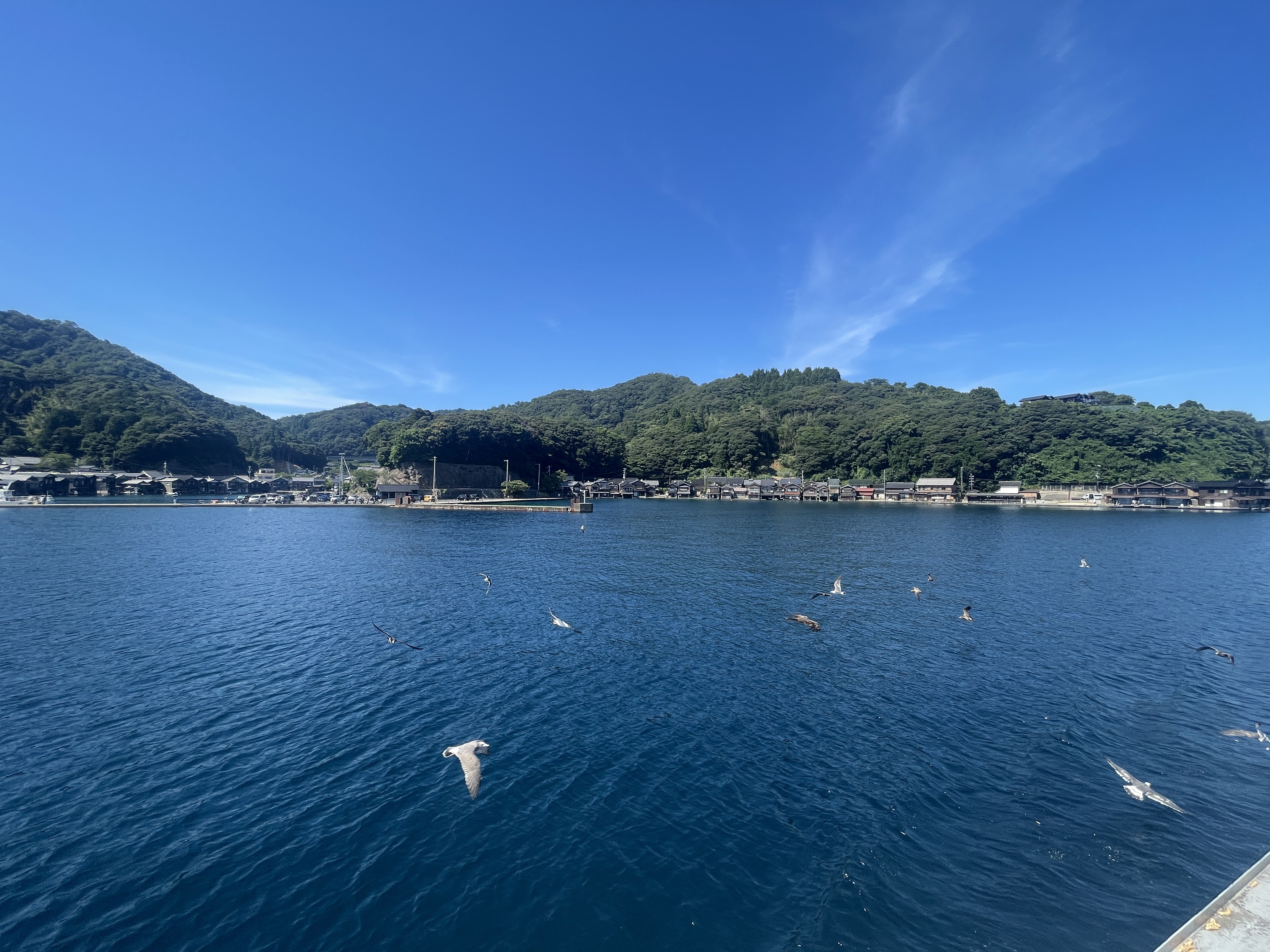 ▌2023日本之旅 ▌Day 8 : 天橋立➝伊根灣遊船➝ 