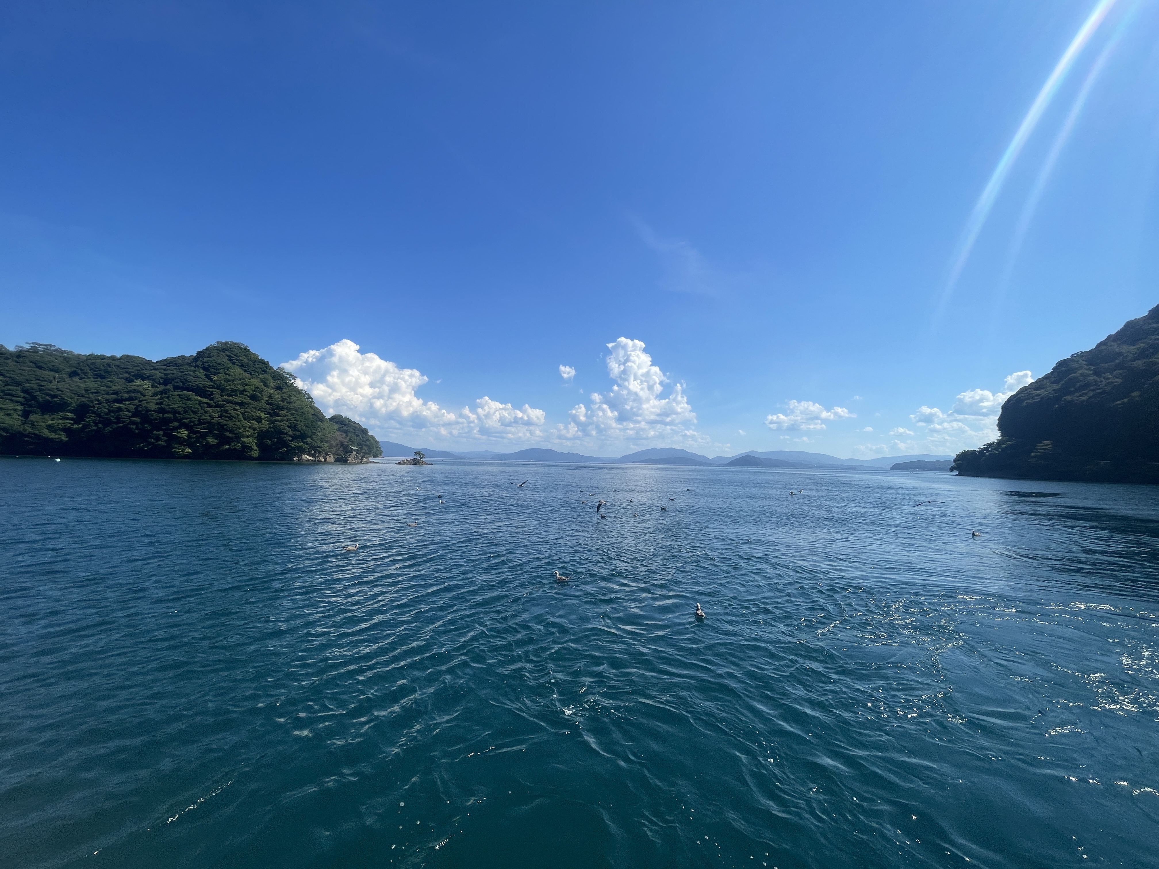 ▌2023日本之旅 ▌Day 8 : 天橋立➝伊根灣遊船➝ 