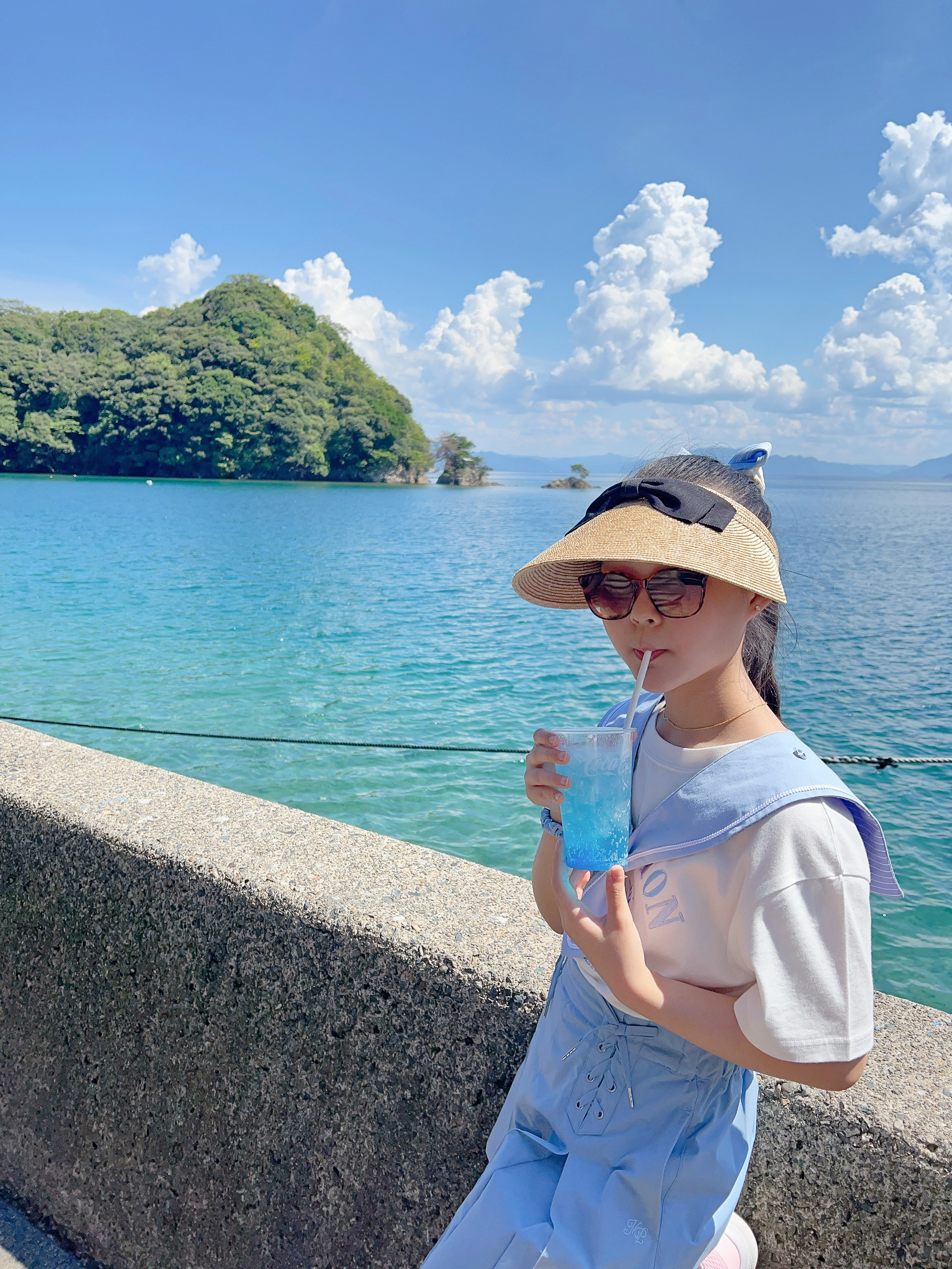▌2023日本之旅 ▌Day 8 : 天橋立➝伊根灣遊船➝ 