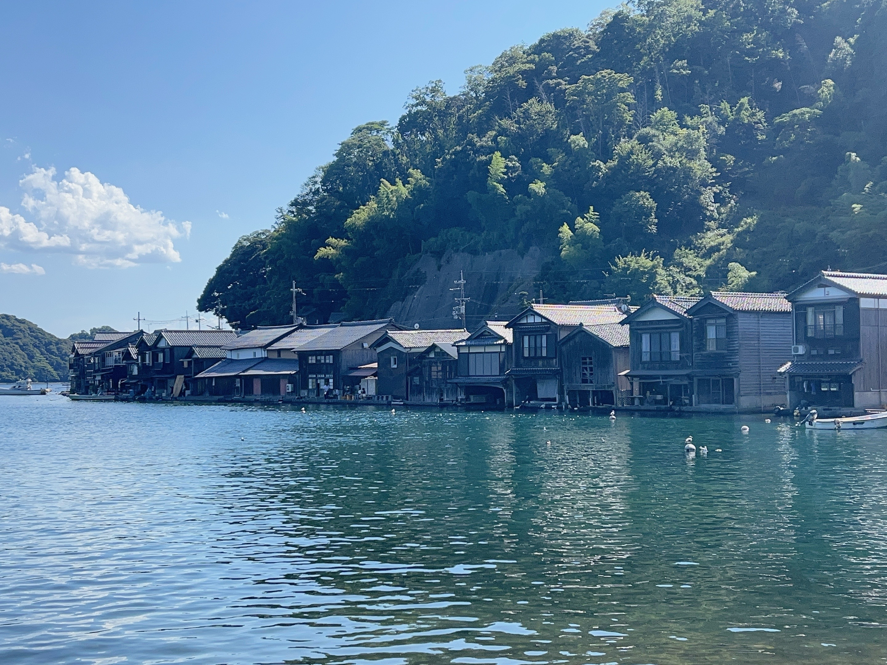 ▌2023日本之旅 ▌Day 8 : 天橋立➝伊根灣遊船➝ 