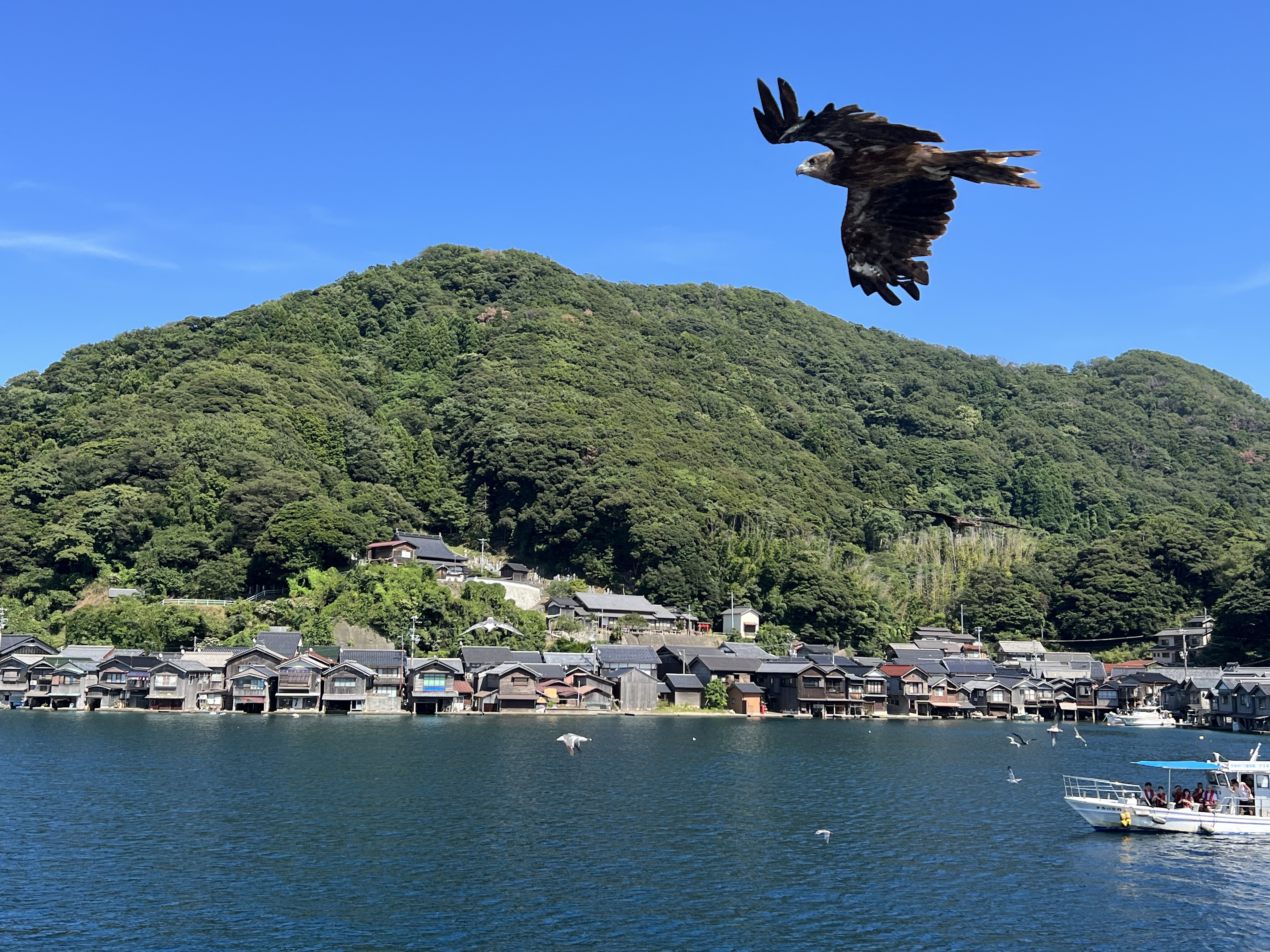 ▌2023日本之旅 ▌Day 8 : 天橋立➝伊根灣遊船➝ 
