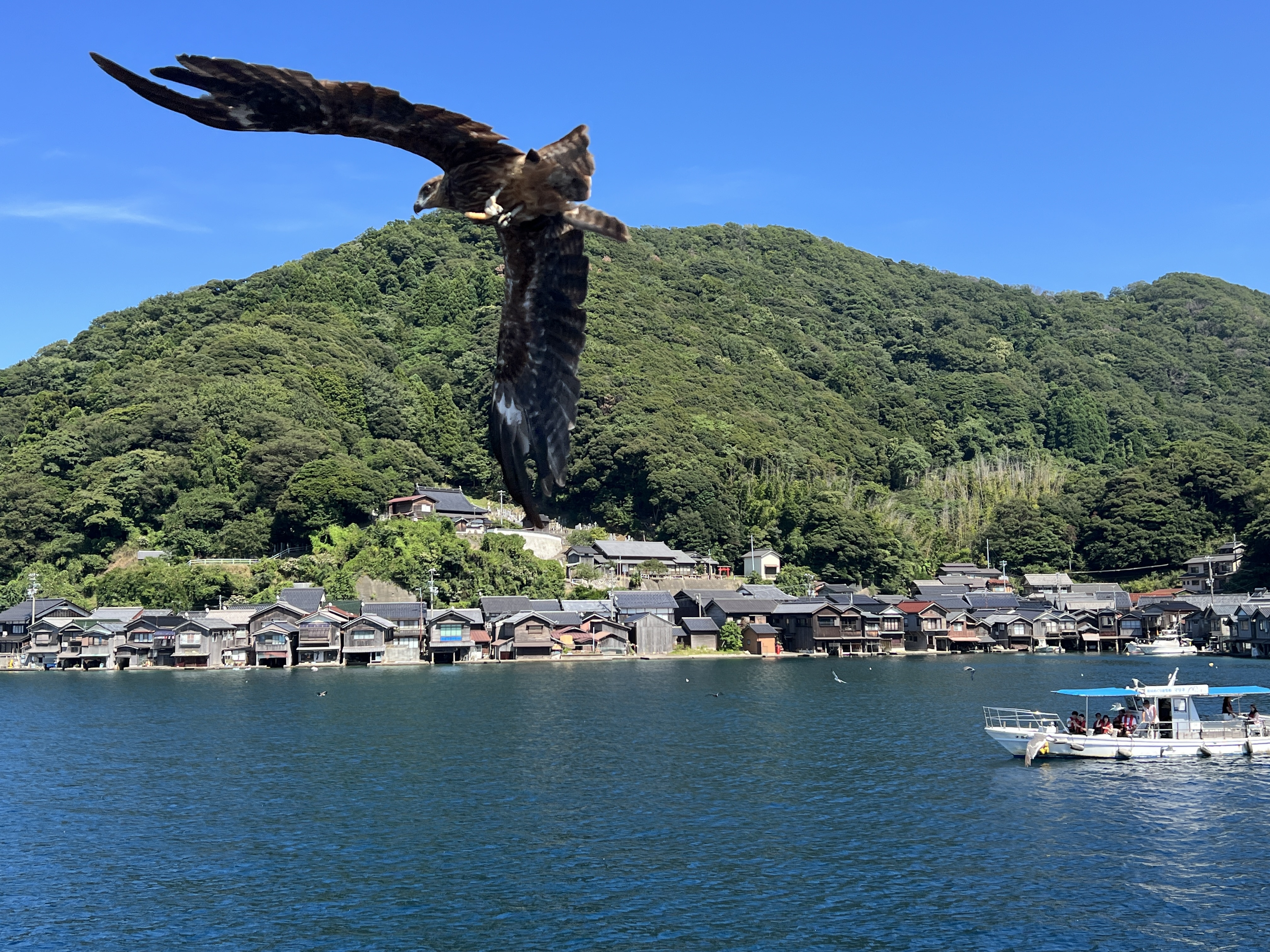▌2023日本之旅 ▌Day 8 : 天橋立➝伊根灣遊船➝ 