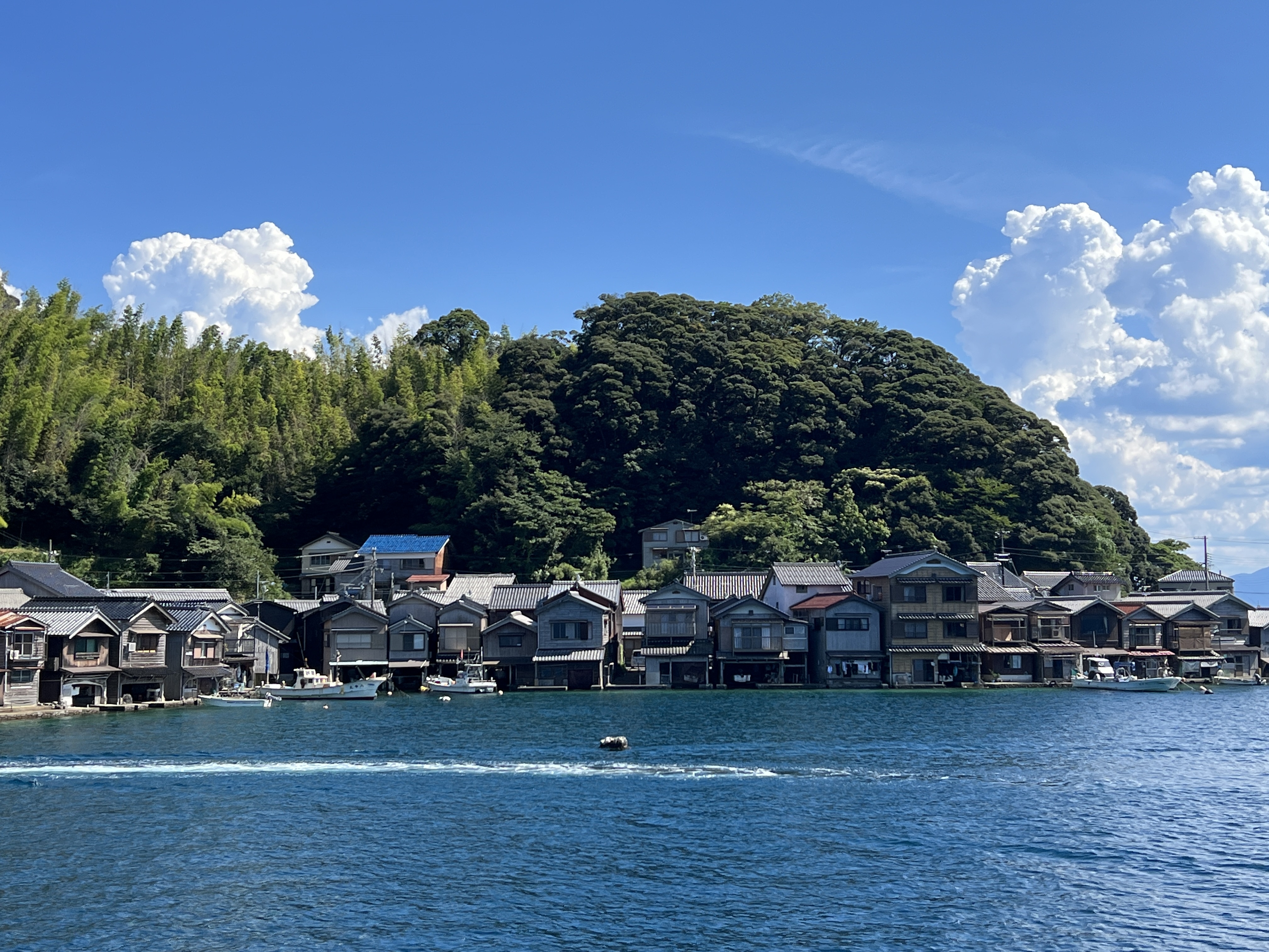 ▌2023日本之旅 ▌Day 8 : 天橋立➝伊根灣遊船➝ 
