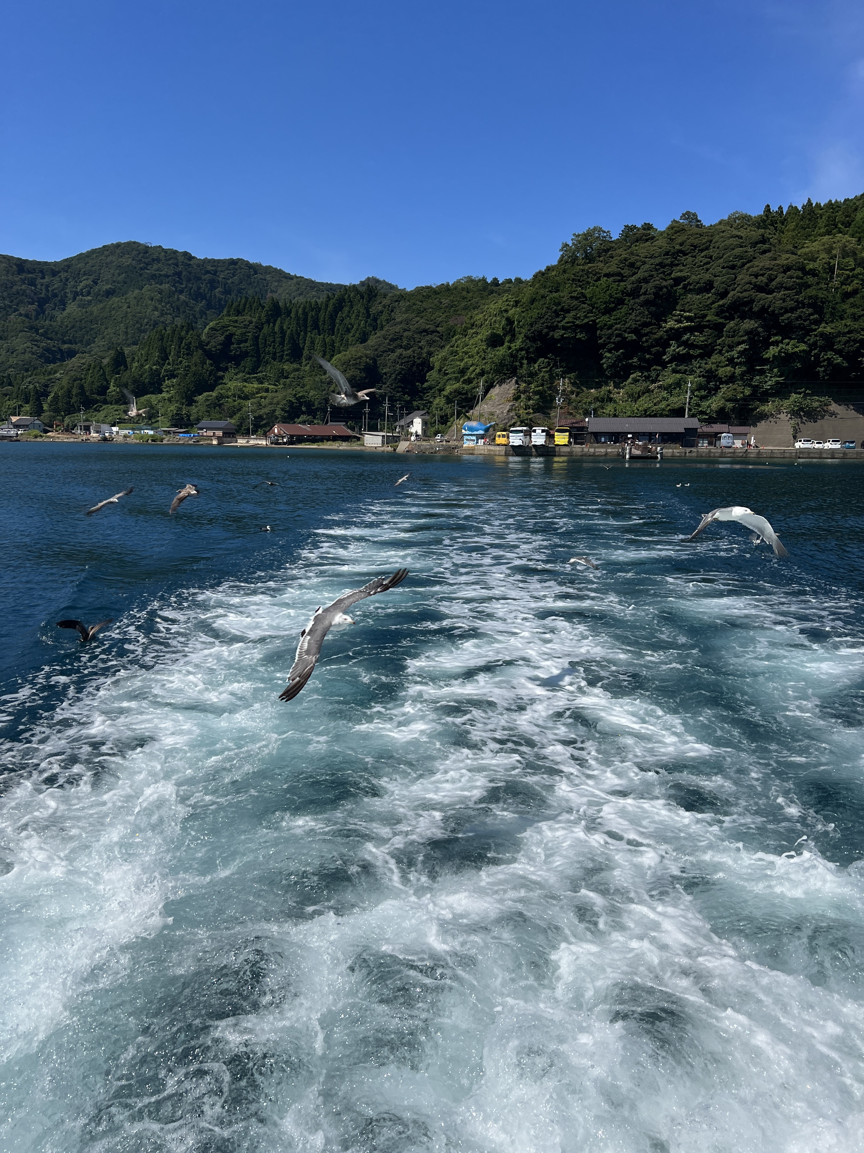 ▌2023日本之旅 ▌Day 8 : 天橋立➝伊根灣遊船➝ 