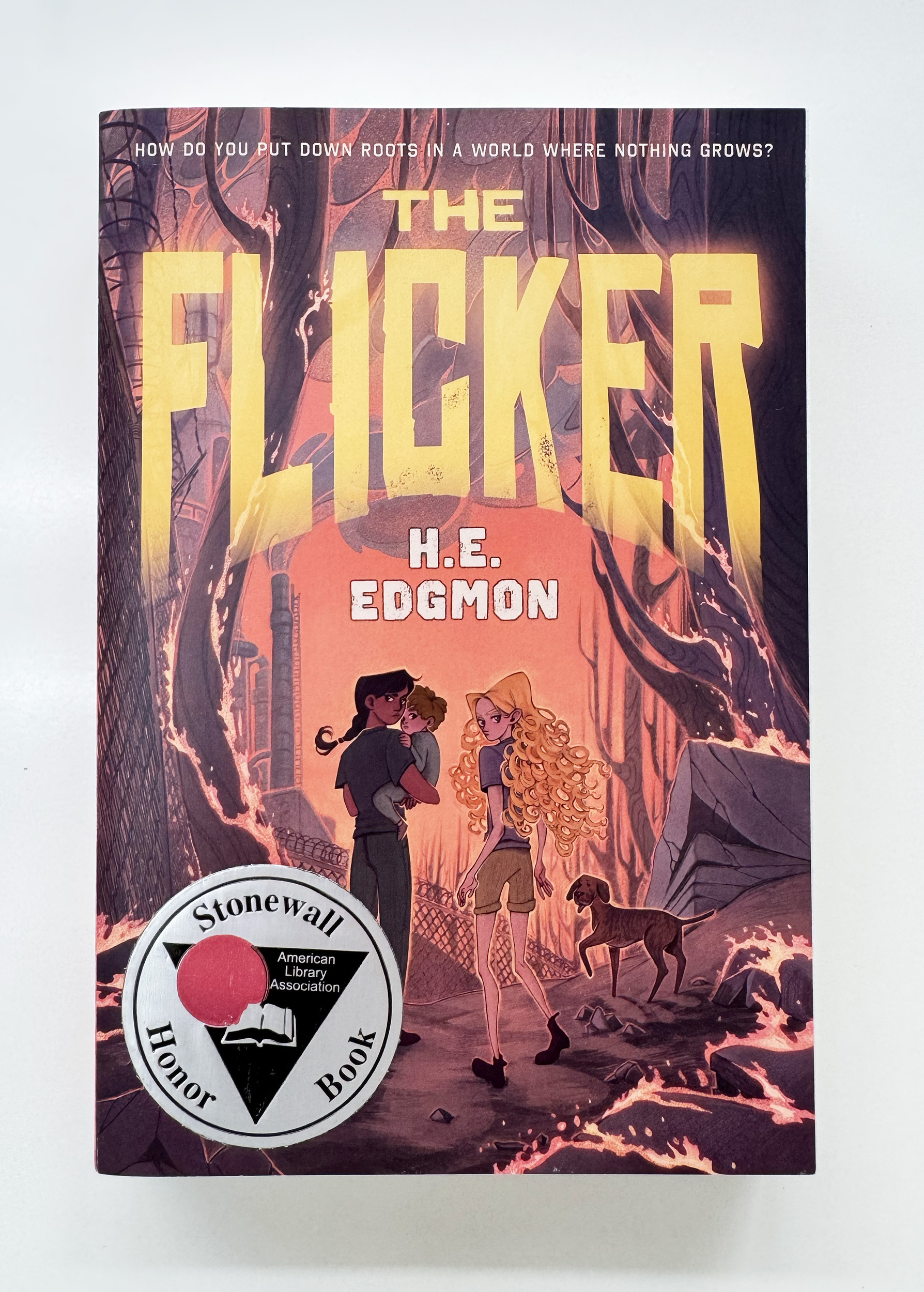 ▌8月新增英文書單 ▌中階小說、得獎書