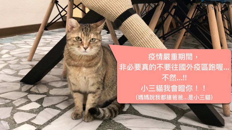 2019武漢肺炎和新冠狀病毒我在台灣防疫中學會的幾件事情.jpg 2019武漢肺炎和新冠狀病毒我在台灣防疫中學會的幾件事情.jpg