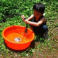 IMG_4769.JPG