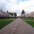 The Quad