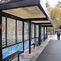 Bus stop near my dorm
