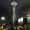 夜晚的Space Needle