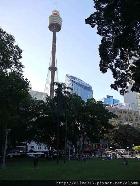 P1160326.JPG