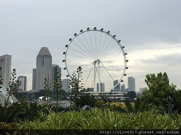 IMG_8853.JPG