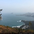 IMG_9775.JPG