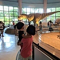 IMG_20180813_210918.jpg