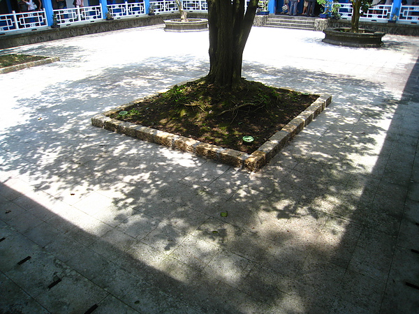 IMG_4741.JPG