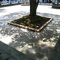 IMG_4741.JPG