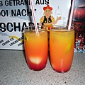 P1000178.JPG
