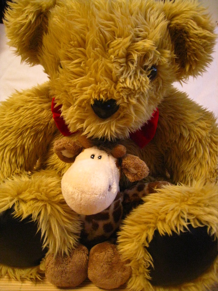 Bear and Noli are so sweet together.