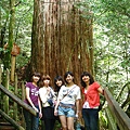 IMG_5039.JPG
