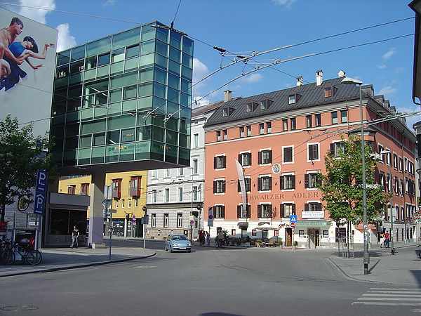 DSC02895.JPG