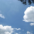 IMG_4819.JPG