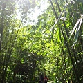IMG_9105.JPG