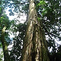 IMG_5030.JPG