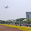 P1060695.JPG