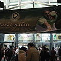 Safin