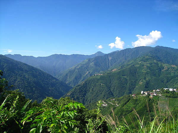 IMG_4972.JPG